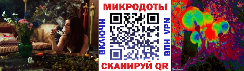 купить  цена  Калач  Галлюциногенные грибы MAGIC MUSHROOMS 