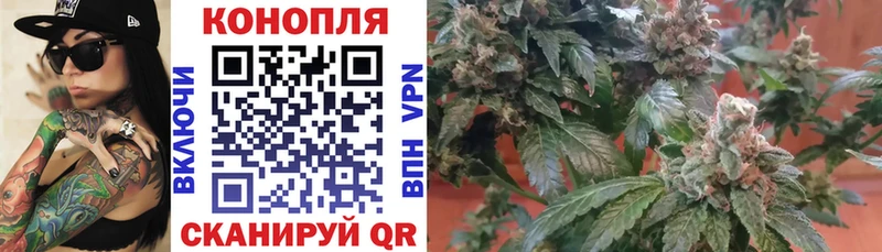 Марихуана OG Kush  где продают наркотики  маркетплейс Telegram  Калач 